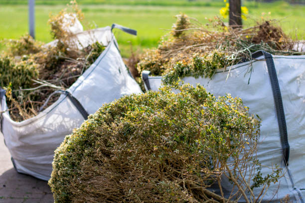 Best Appliance Removal Near Me  in Dodge Center, MN