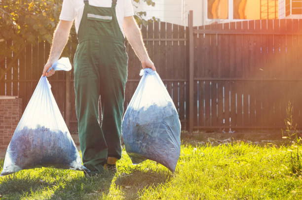 Best Furniture Removal Near Me  in Dodge Center, MN