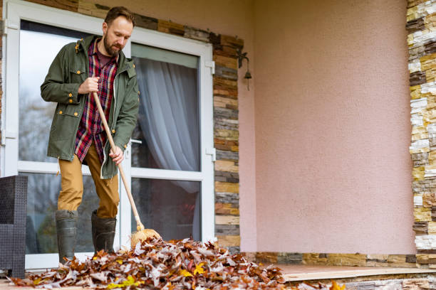 Best Yard Cleanup Services  in Dodge Center, MN